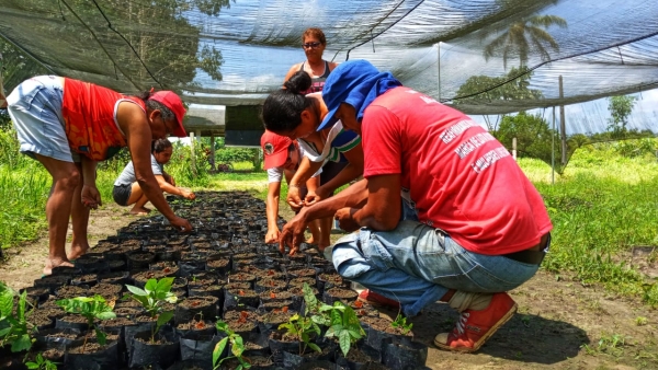 Agricultores plantam árvores no Assentamento Mártires de abril, Pará